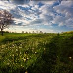 Tour de printemps