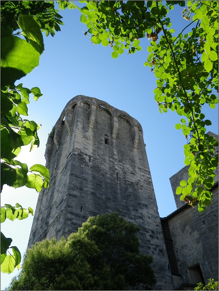 Tour de Roi - reload aus 2013