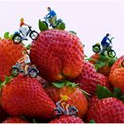 Tour de Strawberry