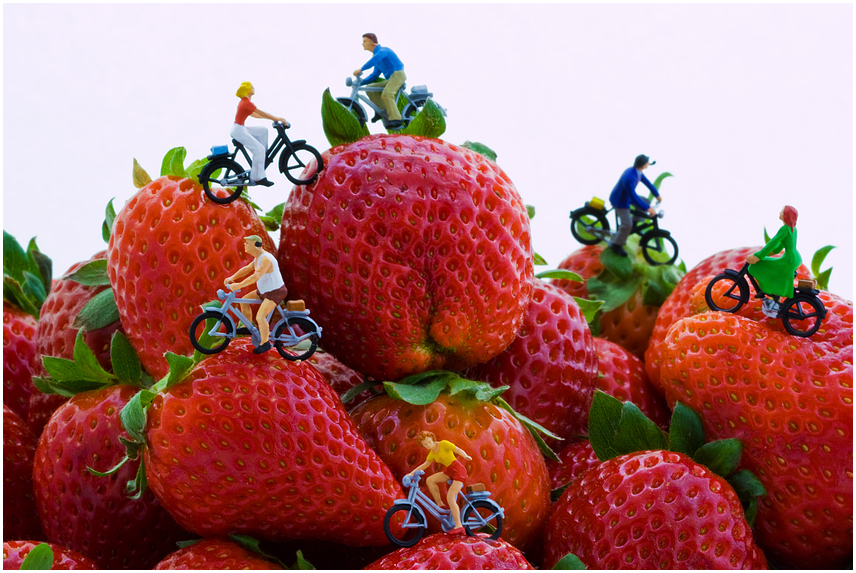 Tour de Strawberry