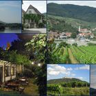 Tour de Wachau..