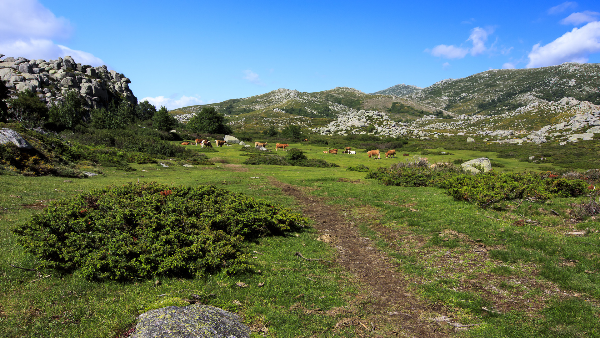 Tour du Castellu 2 - Corse 2018