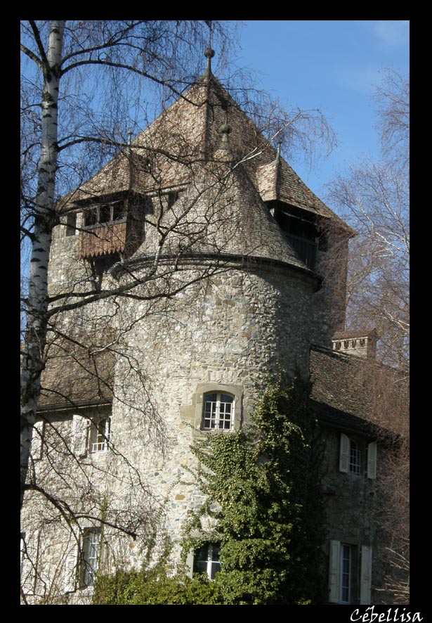 Tour du Château de Coudrée