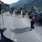 Tour du Mont Blanc 1980 (1)