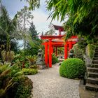 Tour durch den Monte Palace Tropical Garden 