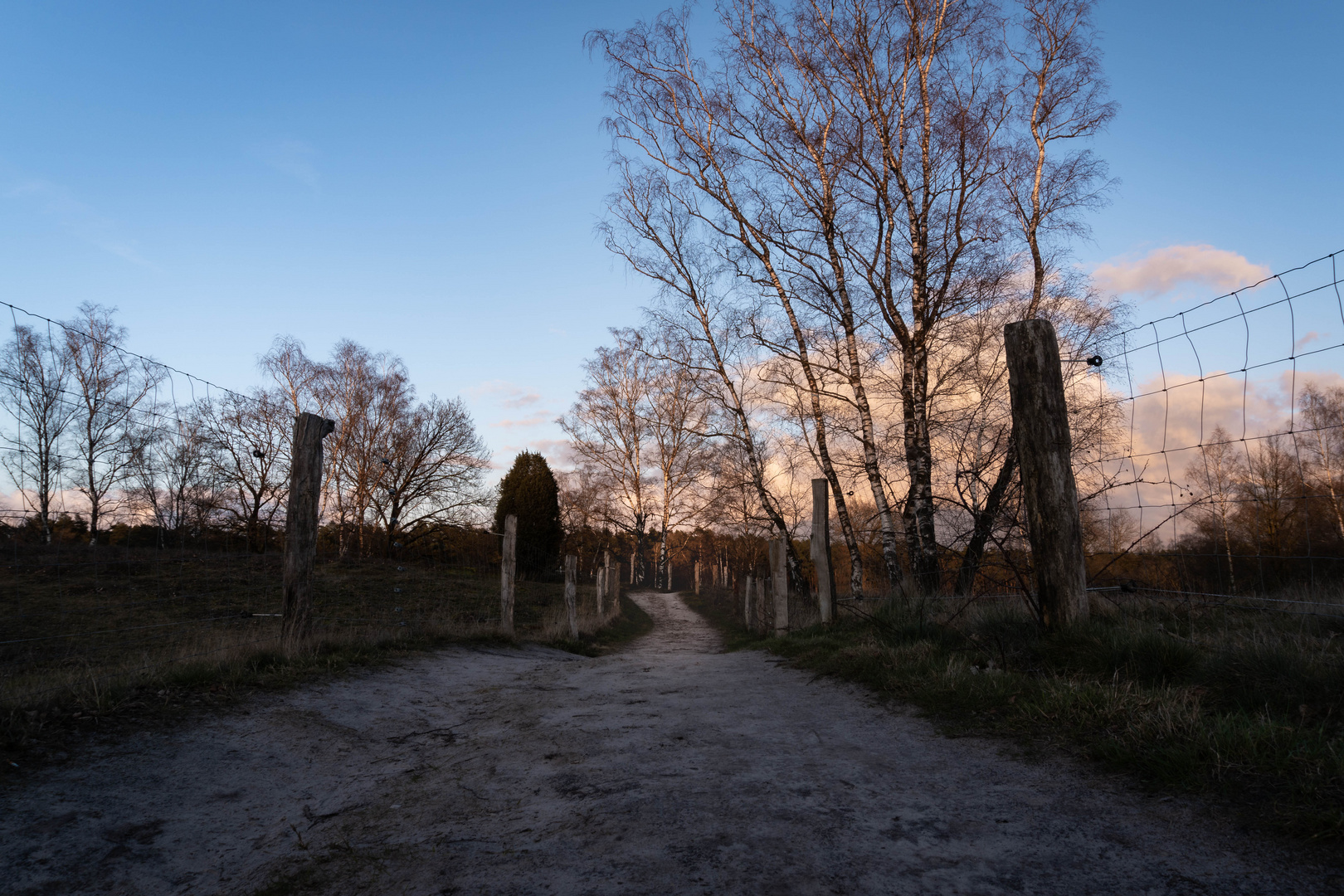 Tour durch die Tillenberger Heide