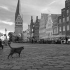 Tour durch Lüneburg *