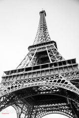 Tour Eifel black and white