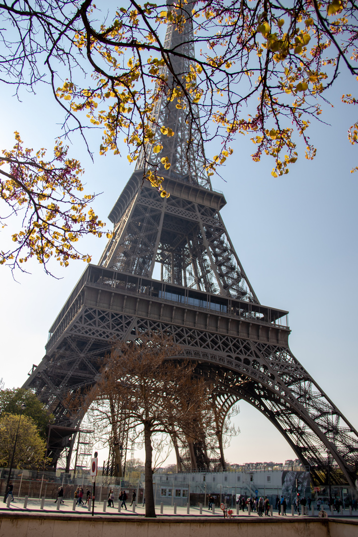 Tour Eiffel