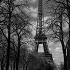 Tour Eiffel blanc et noir (2)