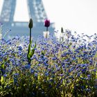 Tour Eiffel bleu avec fleurettes