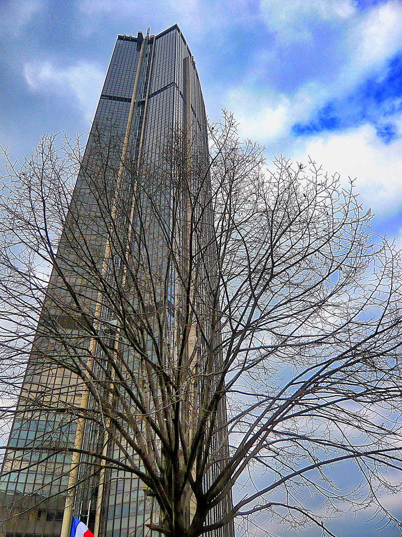 Tour et arbre