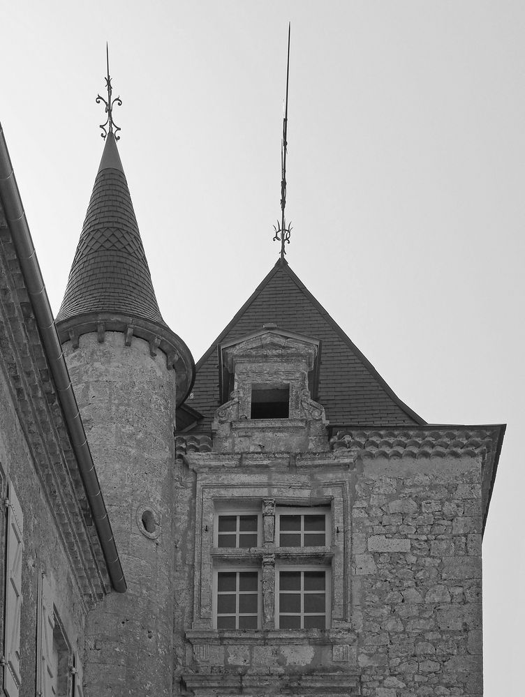 Tour, fenêtre à meneaux et tourelle au Château de Mons  -  Caussens