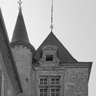 Tour, fenêtre à meneaux et tourelle au Château de Mons  -  Caussens
