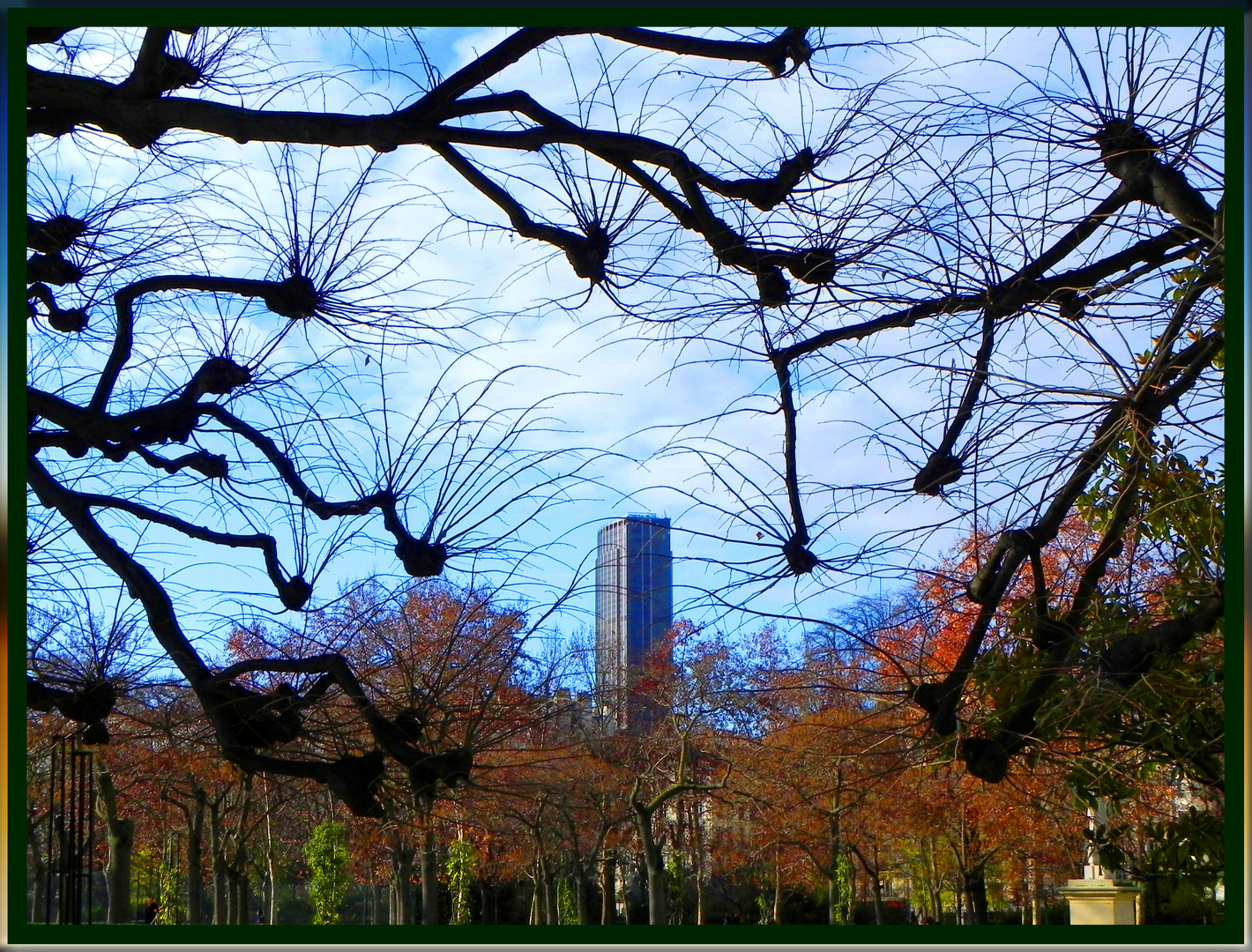 Tour  Montparnasse