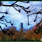 Tour  Montparnasse