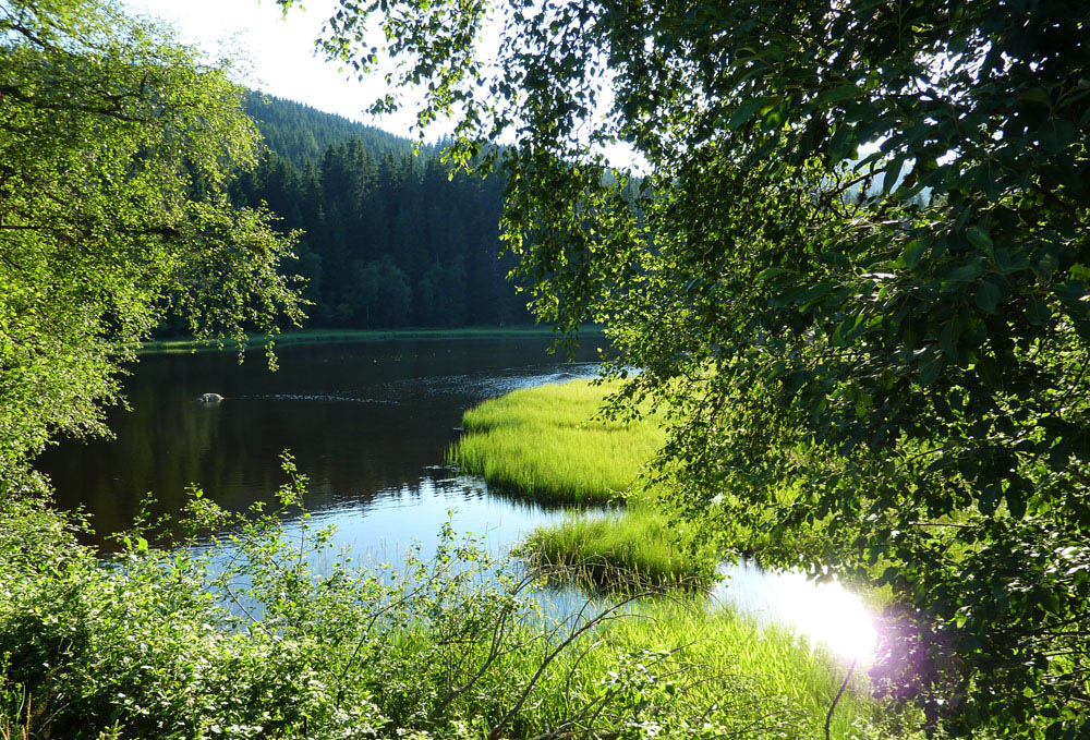 Tour Schluchsee - Schwarzwald