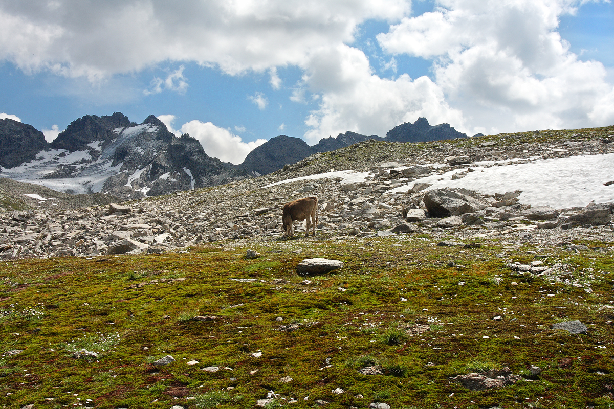 Tour zum Hennkopf, 2704m