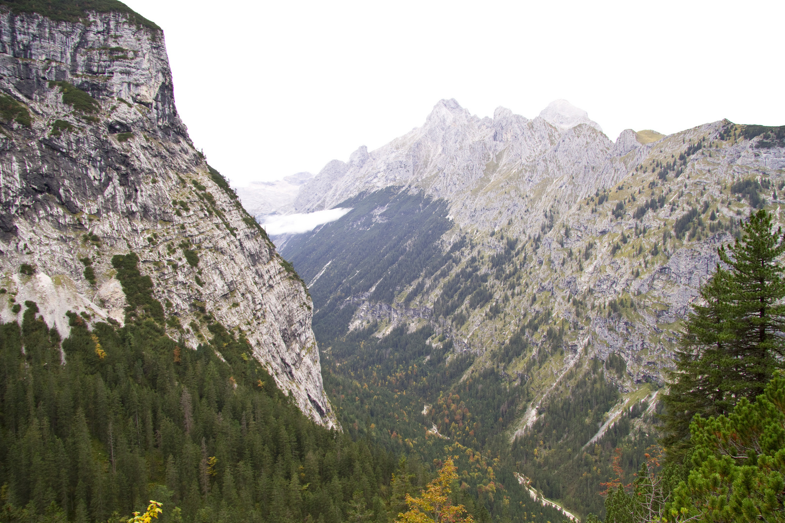 Tour zur Meilerhütte9