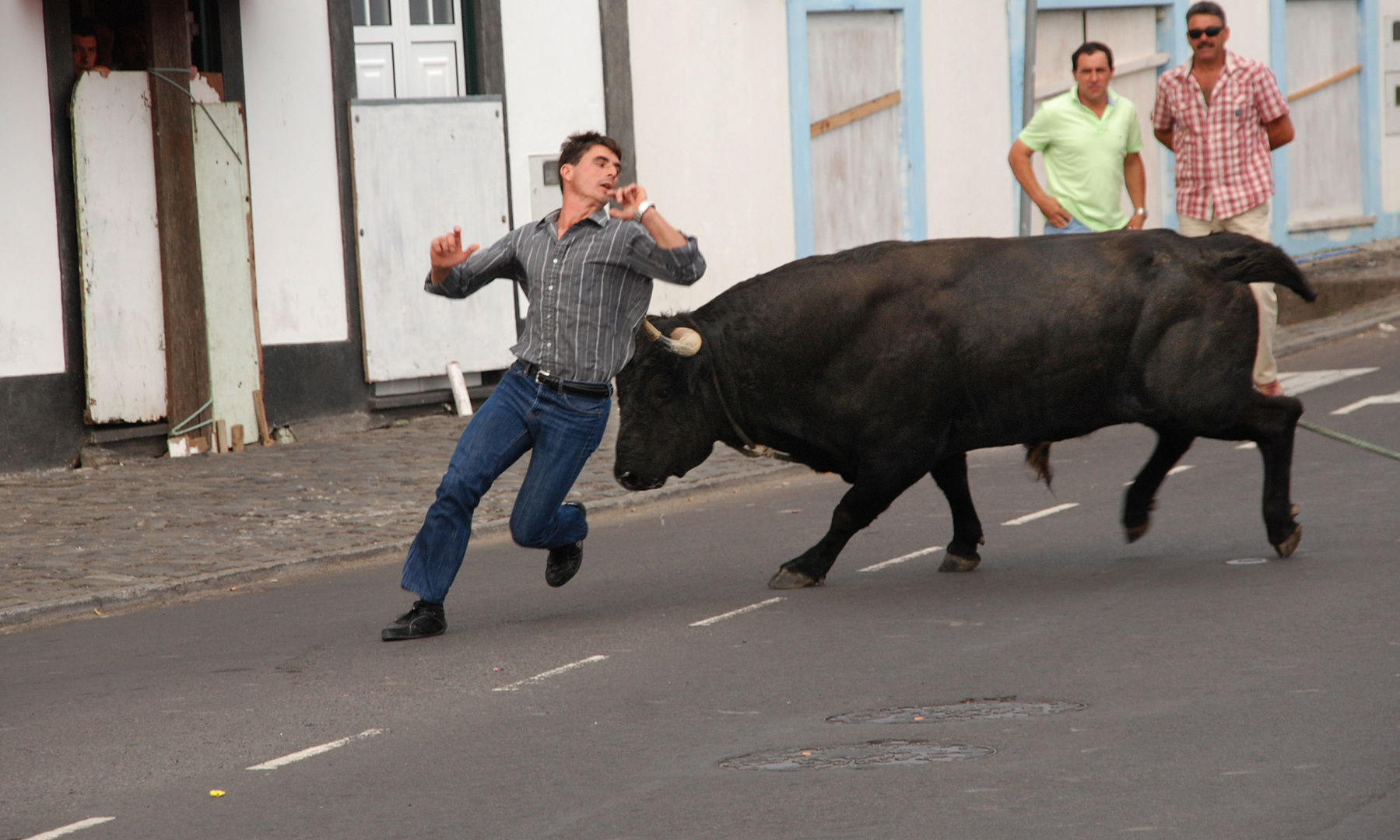 "Tourada a corda" in Sao Mateos auf Terceira (Azoren)