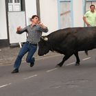 "Tourada a corda" in Sao Mateos auf Terceira (Azoren)