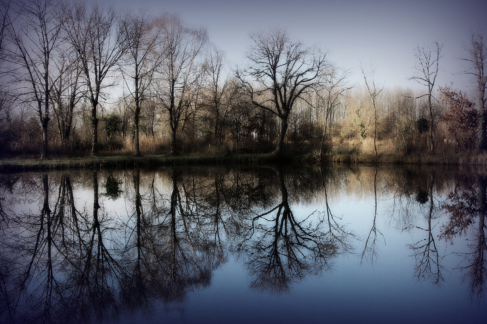 Tourbières de Mouthiers (Charente)