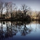 Tourbières de Mouthiers (Charente)