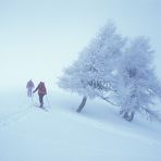 Tourengeher im Nebel