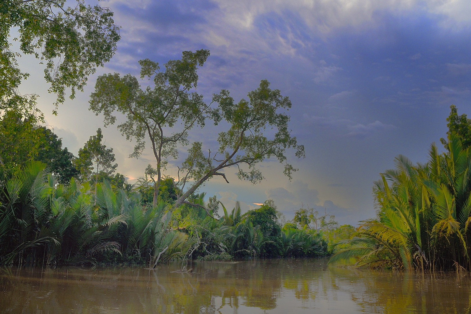 Touring on the Sungai Hitam river