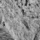 Touristen am Strand von Porto Katsiki