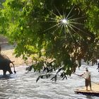 Touristen Ausflug von Chiang Mai  (fotomanny@ok.de)