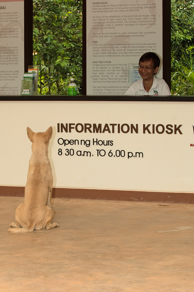 Touristen-Information Pulau Ubin Nationalpark Singapore