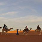 Touristen-Karawane im Erg Chebbi auf dem Weg zum Sonnenuntergang