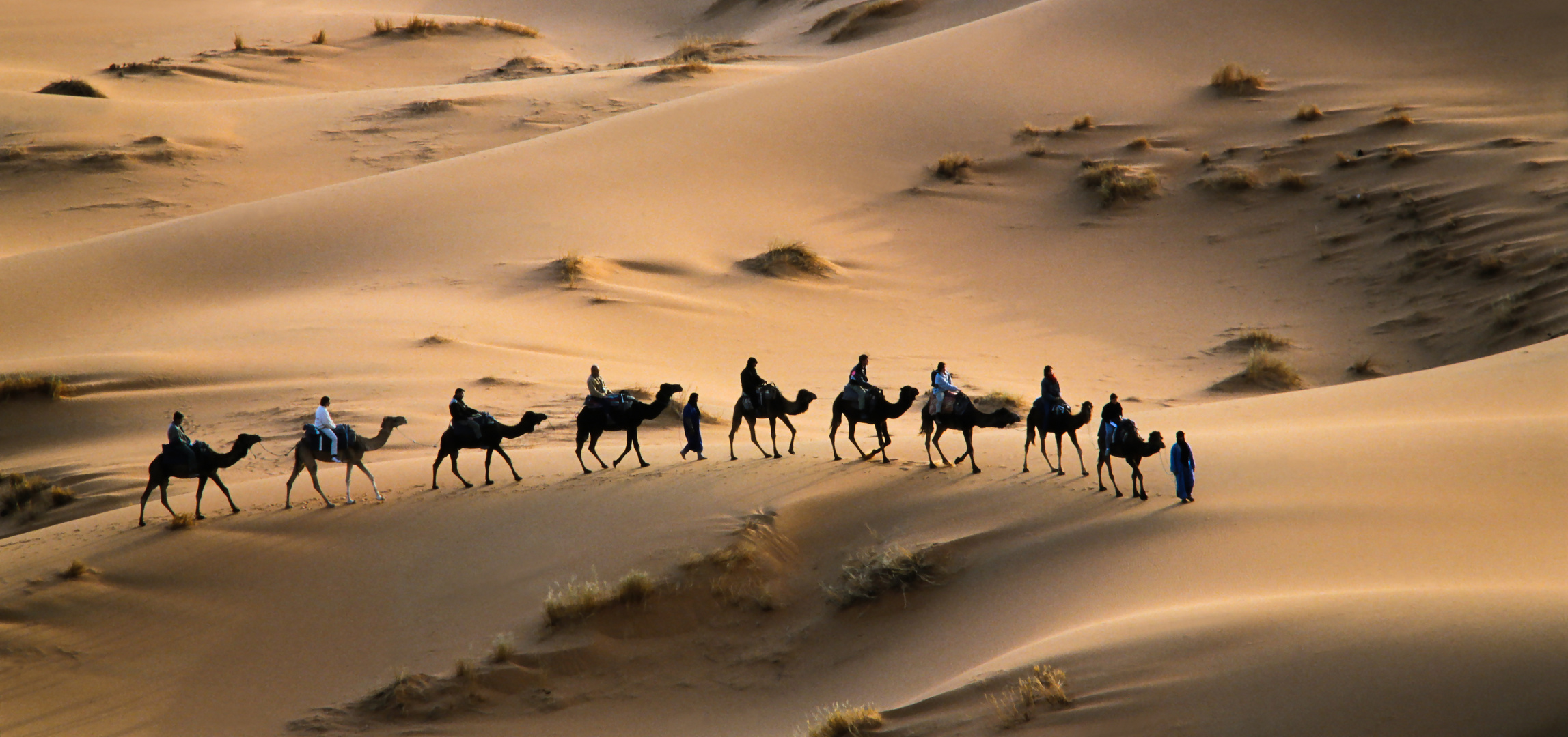 Touristen-Karawane in Marokko