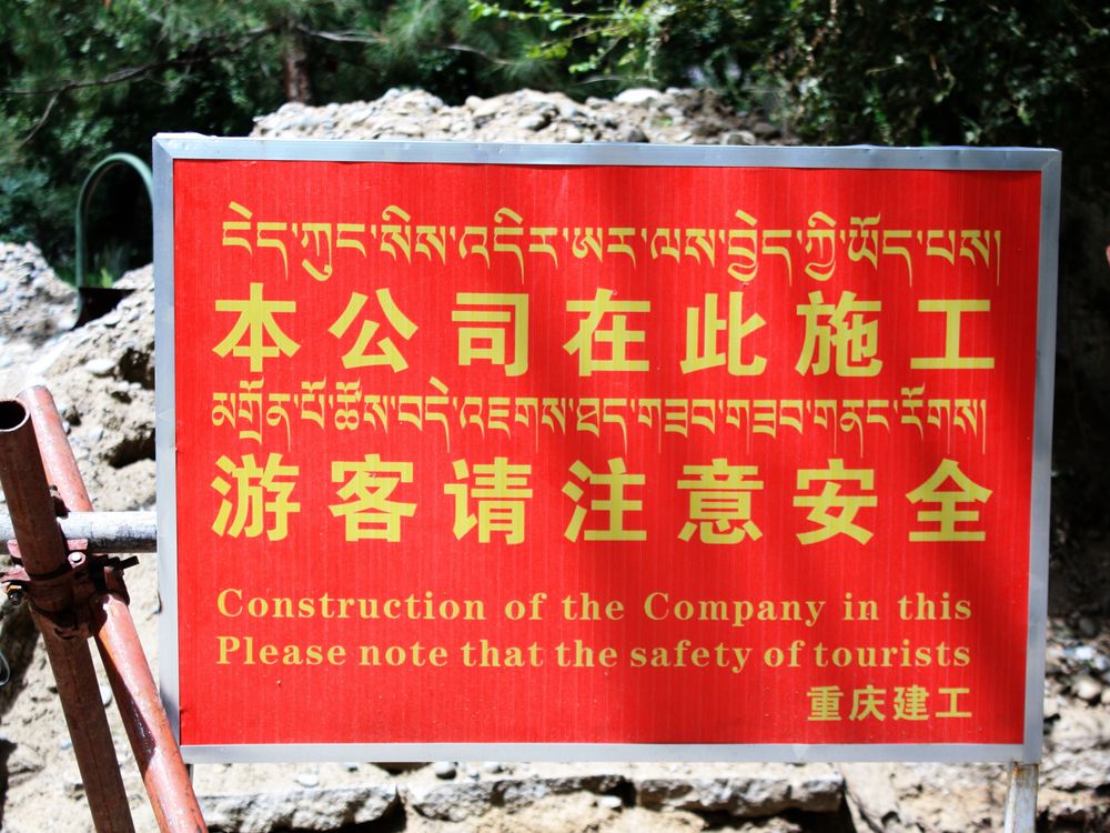 Touristen stehen unter speziellem Schutz. In jeder Hinsicht. Norbulingka, Lhasa, Tibet von karen Zehmann 