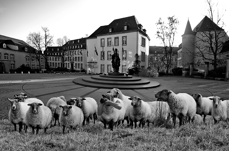 Touristen und Fotograf