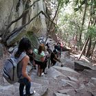 Touristenansturm auf dem Mist Trail