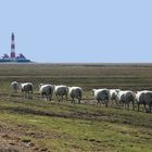 Touristenstrom zum Westerhever Leuchtturm