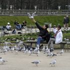 Touristes et oiseaux au Jardin du Luxembourg