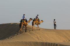 Touristisches Kamelreiten in der Wüste Thar