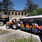 Touristisches Mahnmal - Die Goli Express Tour