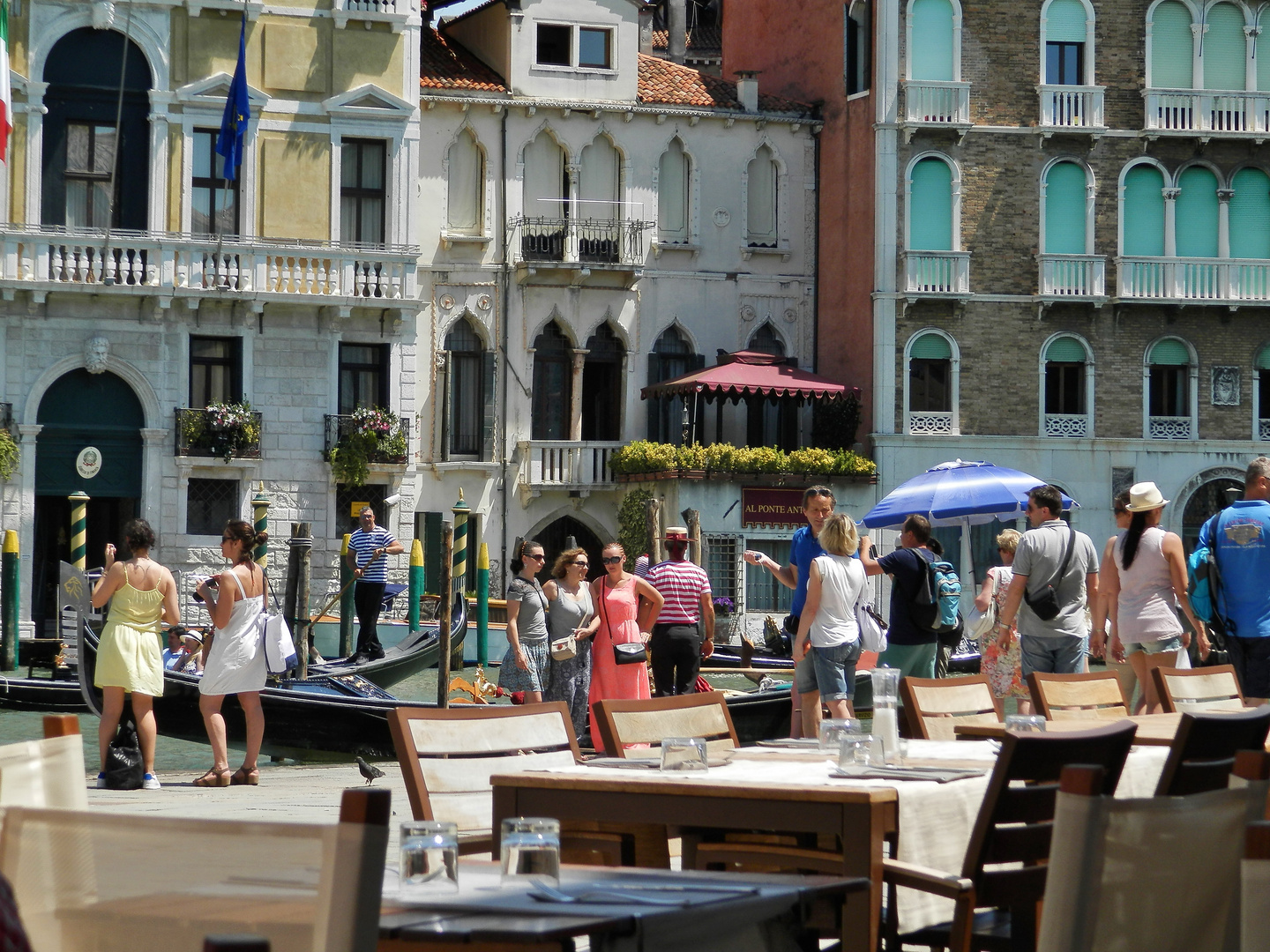 Tourists and little dove at Grand Canal