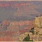 tourists at maricopa point