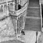 Tourists in Budapest