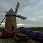 tournent les ailes du vieux moulin