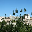 Tourrettes sur Loup (Alpes Maritimes)