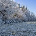 tous de blanc vêtus...