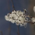 Tous les goûts sont dans la nature!