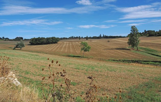 Tout a été récolté