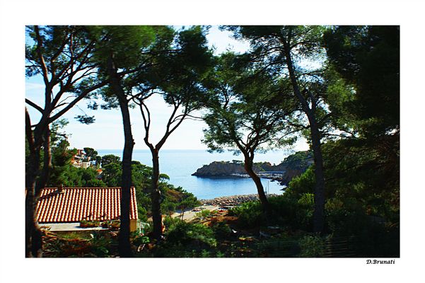 Tout au long de la côte bleue.